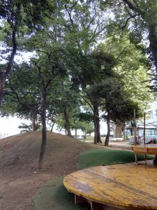 都内でこんなに自然豊かなお庭のある幼稚園はなかなかありません!